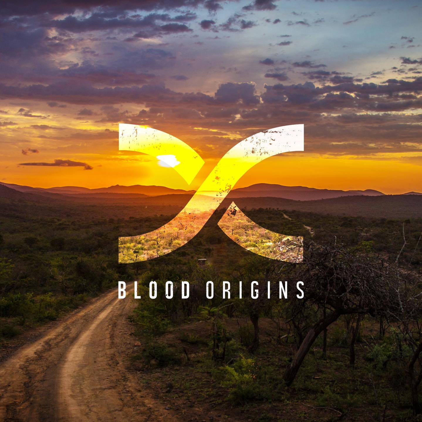 Blood Origins